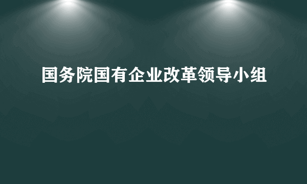 国务院国有企业改革领导小组