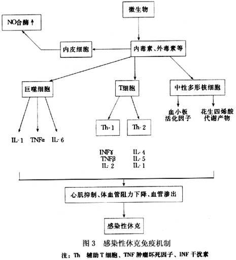 炎症介质