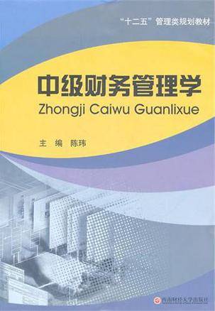 中级财务管理学（2011年西南财经大学出版社出版的图书）