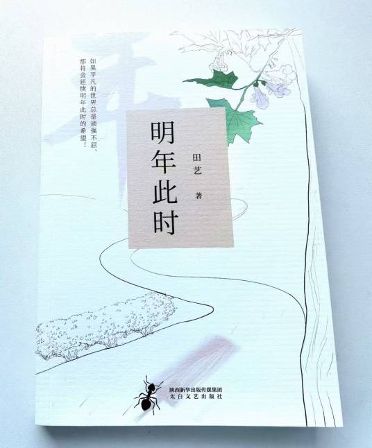 明年此时（2020年田艺创作的长篇小说）