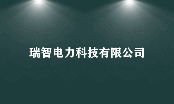 瑞智电力科技有限公司