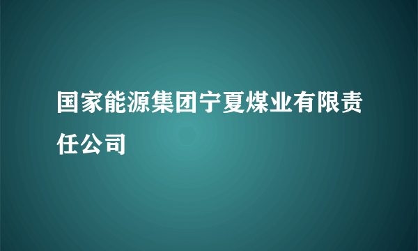 国家能源集团宁夏煤业有限责任公司