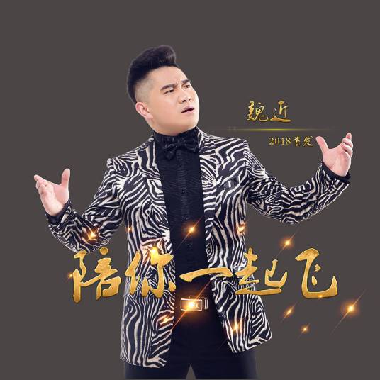 陪你一起飞（魏近演唱的歌曲）