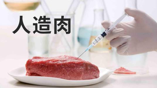 人造肉（人造食品）