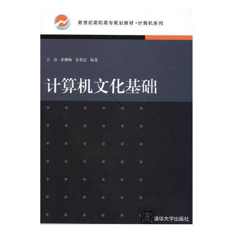 计算机文化基础（2019年清华大学出版社出版的图书）