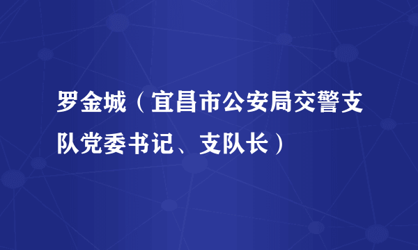 罗金城（宜昌市公安局交警支队党委书记、支队长）