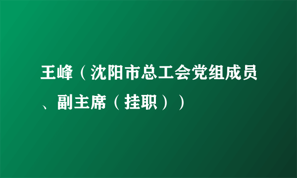 王峰（沈阳市总工会党组成员、副主席（挂职））