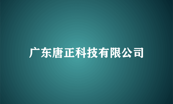 广东唐正科技有限公司