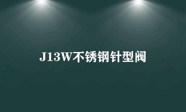 J13W不锈钢针型阀