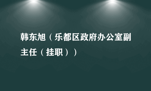 韩东旭（乐都区政府办公室副主任（挂职））