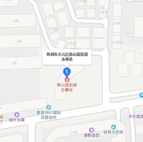 泰山路街道办事处（株洲市泰山路街道办事处）