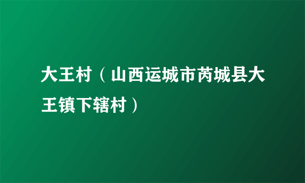 大王村（山西运城市芮城县大王镇下辖村）