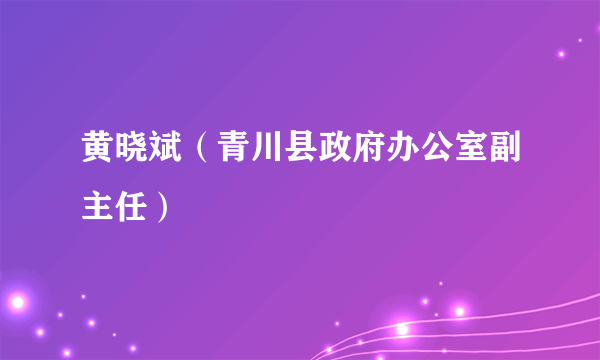 黄晓斌（青川县政府办公室副主任）