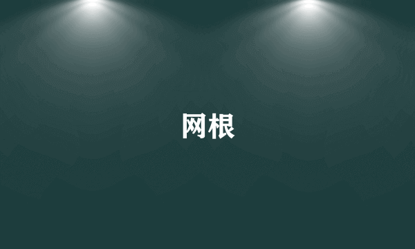 网根