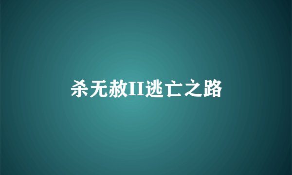 杀无赦II逃亡之路