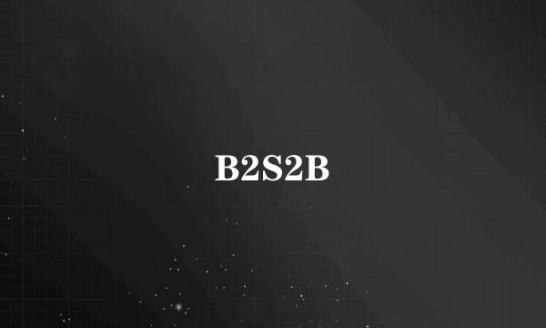 B2S2B