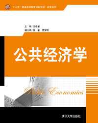 公共经济学（2013年清华大学出版社出版的图书）