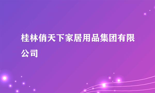 桂林俏天下家居用品集团有限公司