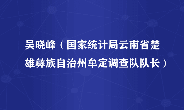 吴晓峰（国家统计局云南省楚雄彝族自治州牟定调查队队长）