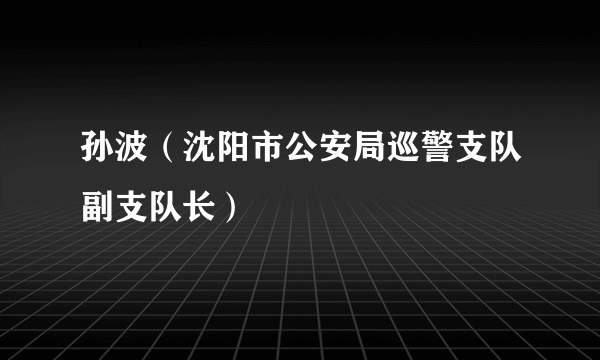 孙波（沈阳市公安局巡警支队副支队长）