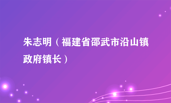 朱志明（福建省邵武市沿山镇政府镇长）