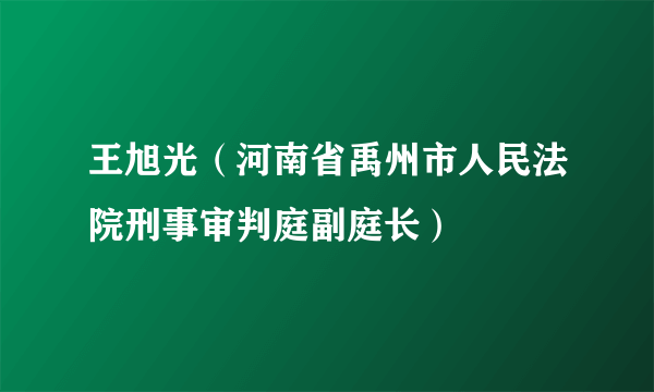 王旭光（河南省禹州市人民法院刑事审判庭副庭长）