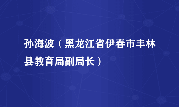 孙海波（黑龙江省伊春市丰林县教育局副局长）