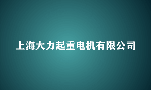 上海大力起重电机有限公司