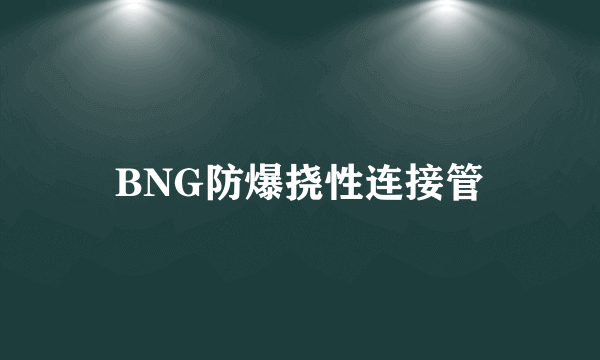 BNG防爆挠性连接管