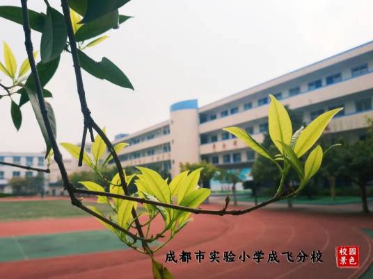 成都市石室联合成飞学校