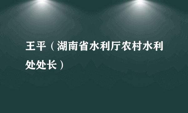 王平（湖南省水利厅农村水利处处长）