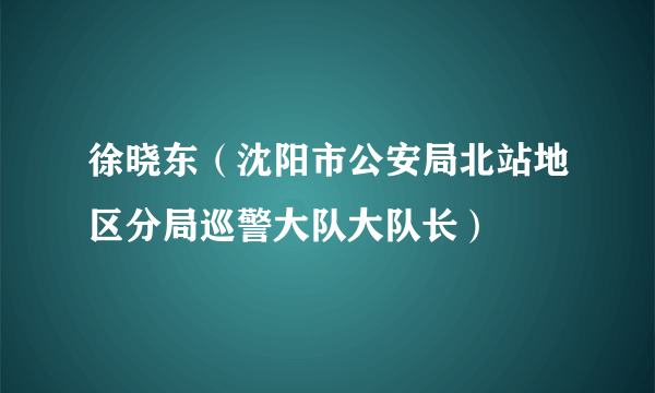 徐晓东（沈阳市公安局北站地区分局巡警大队大队长）