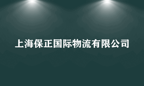 上海保正国际物流有限公司