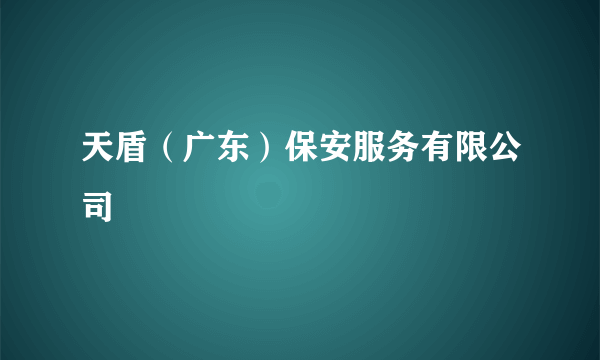 天盾（广东）保安服务有限公司