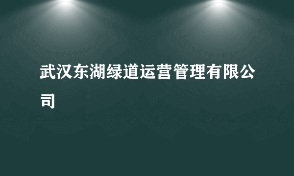 武汉东湖绿道运营管理有限公司