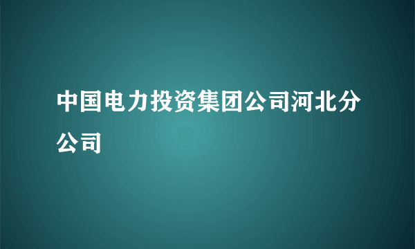 中国电力投资集团公司河北分公司