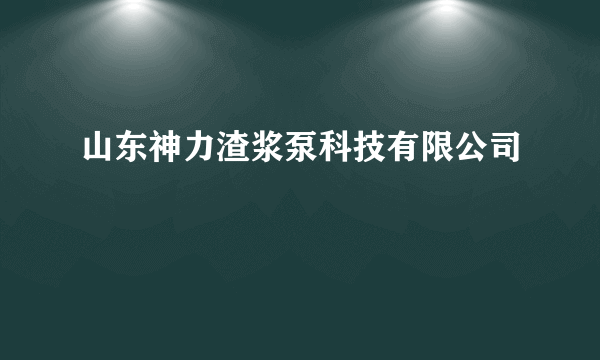 山东神力渣浆泵科技有限公司