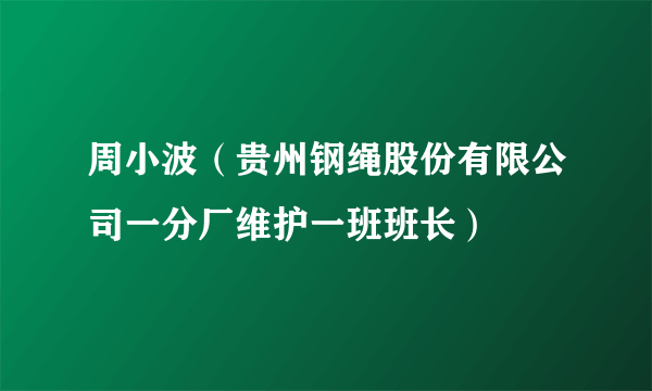 周小波（贵州钢绳股份有限公司一分厂维护一班班长）