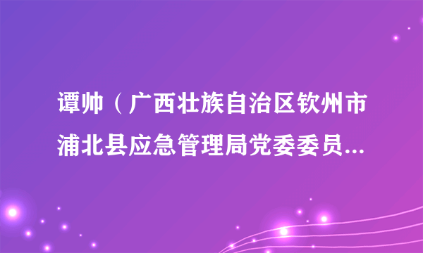 谭帅（广西壮族自治区钦州市浦北县应急管理局党委委员、副局长）