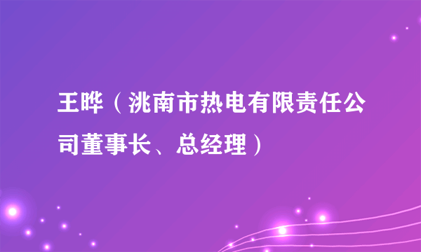 王晔（洮南市热电有限责任公司董事长、总经理）