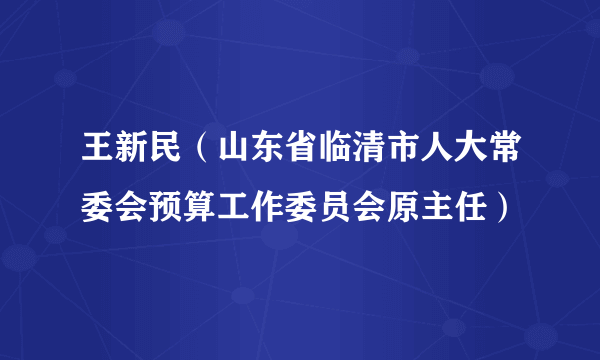 王新民（山东省临清市人大常委会预算工作委员会原主任）