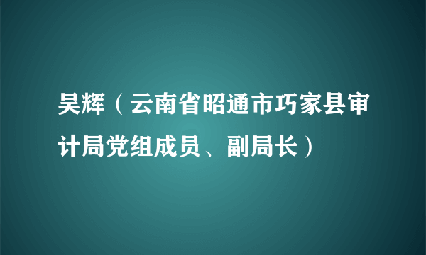 吴辉（云南省昭通市巧家县审计局党组成员、副局长）