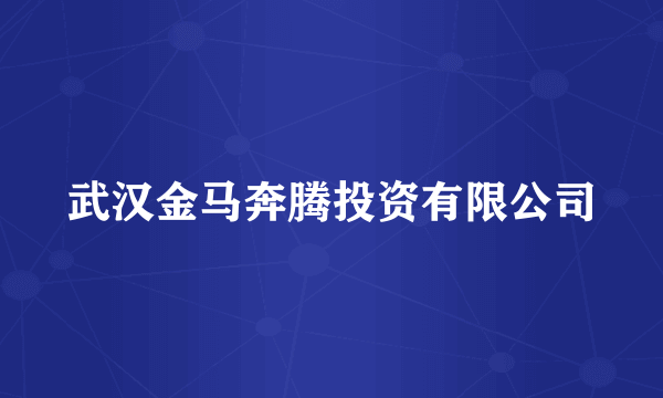 武汉金马奔腾投资有限公司