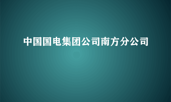 中国国电集团公司南方分公司