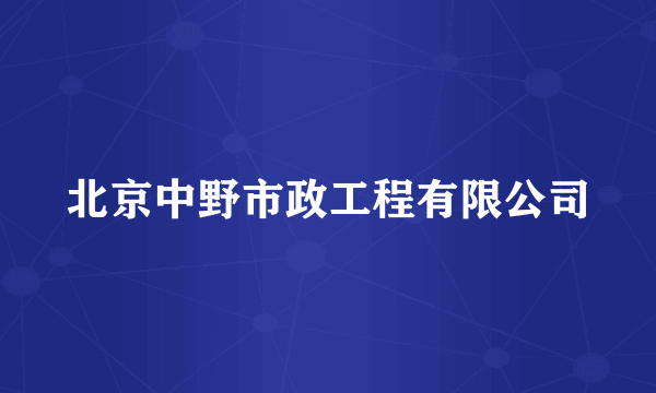 北京中野市政工程有限公司