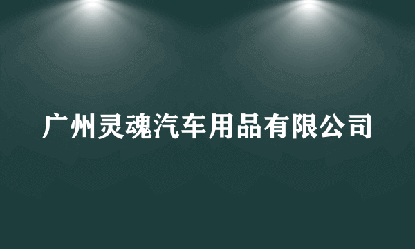 广州灵魂汽车用品有限公司