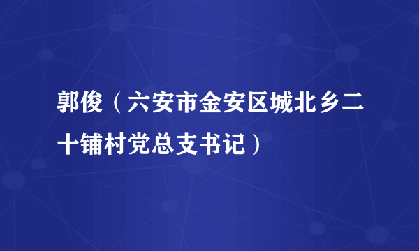 郭俊（六安市金安区城北乡二十铺村党总支书记）