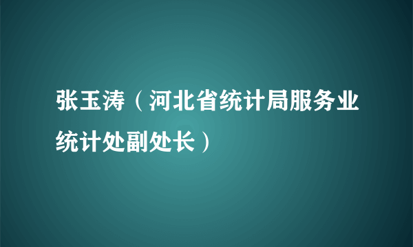 张玉涛（河北省统计局服务业统计处副处长）