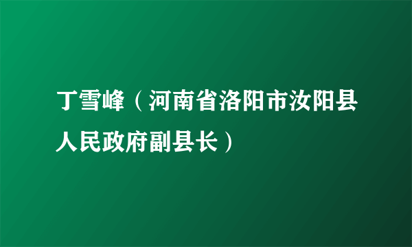 丁雪峰（河南省洛阳市汝阳县人民政府副县长）