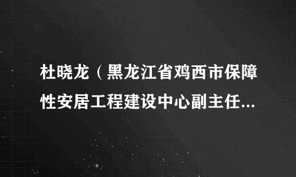 杜晓龙（黑龙江省鸡西市保障性安居工程建设中心副主任、党组成员）